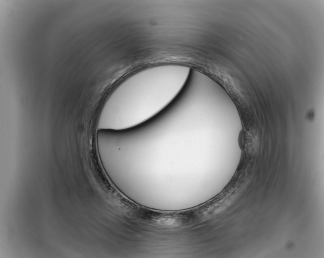 X0000099290358200805020738