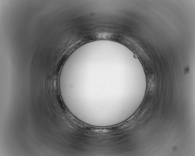 X0000099290363200805020739