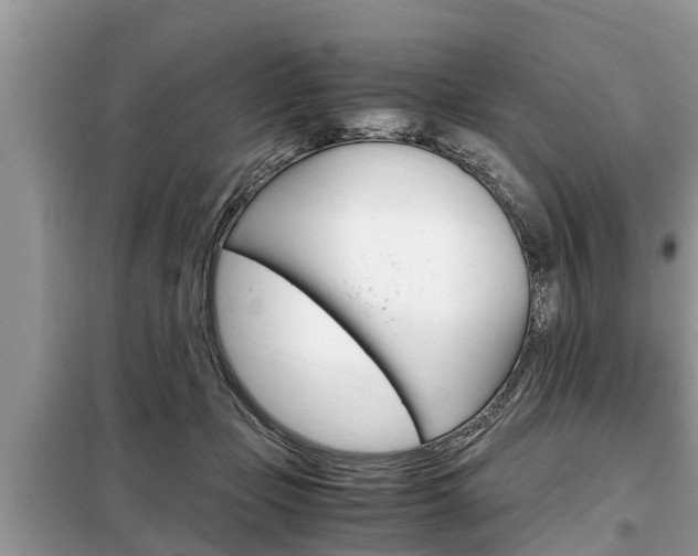 X0000099290365200805020739