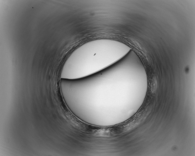 X0000099290366200805020739