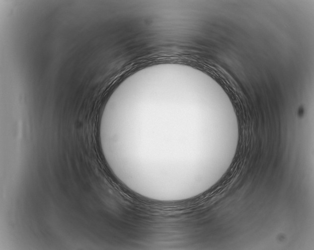 X0000099290372200805020739