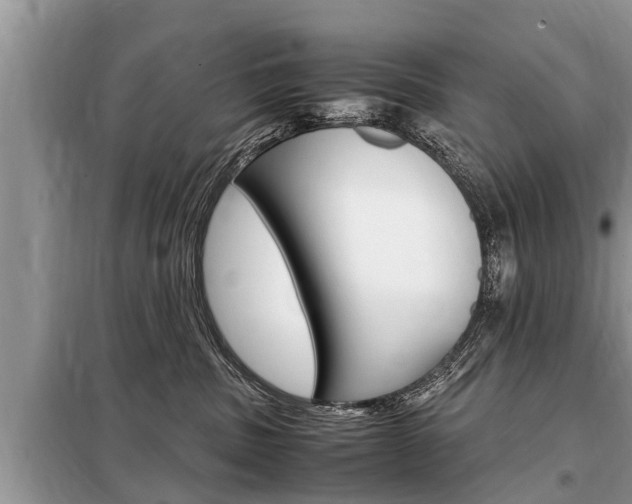 X0000099290379200805020739