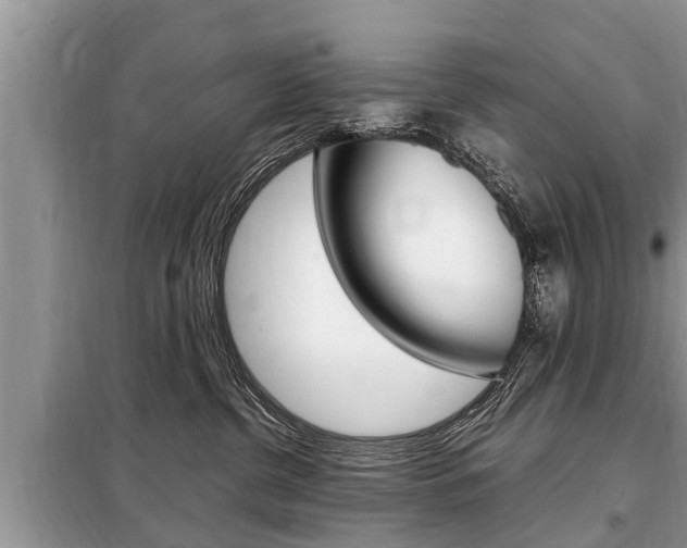 X0000099290380200805020739
