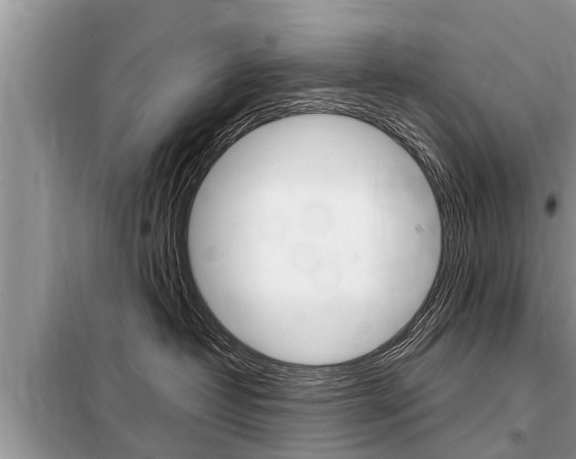 X0000099290382200805020739