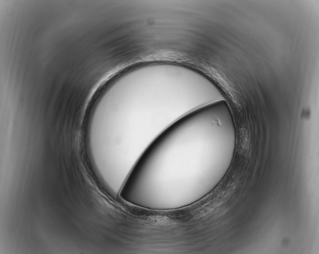 X0000099290392200805020738