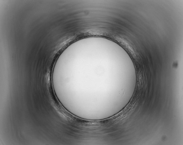 X0000099290398200805020738