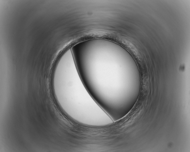 X0000099290399200805020738
