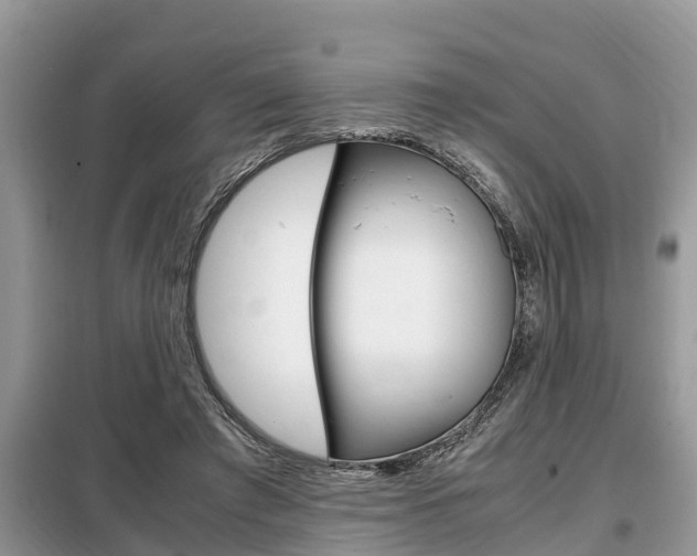 X0000099290401200805020738