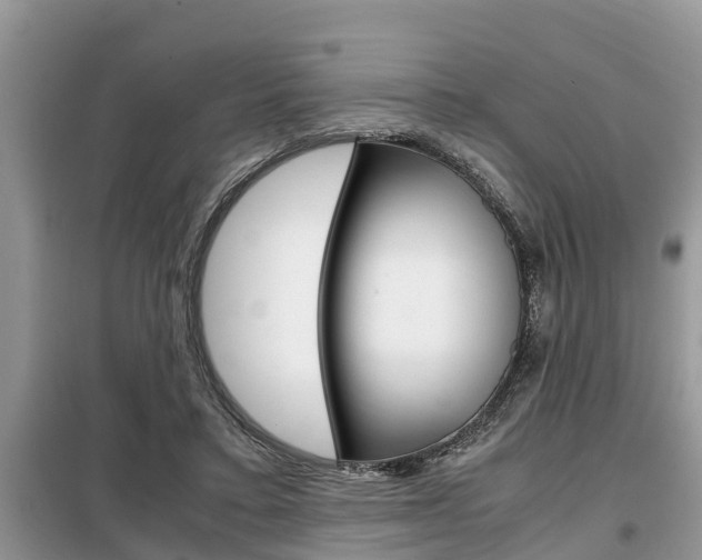 X0000099290403200805020738