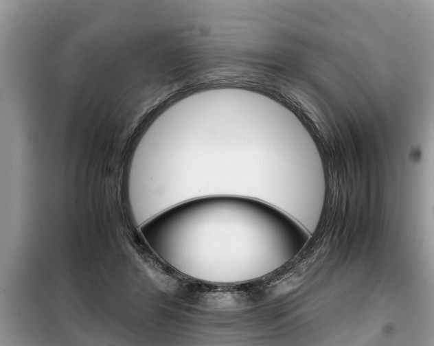 X0000099290404200805020738