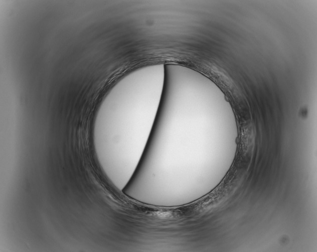 X0000099290406200805020738