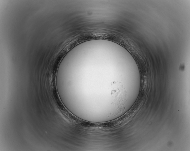 X0000099290408200805020738
