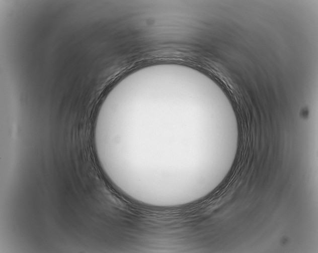 X0000099290411200805020738