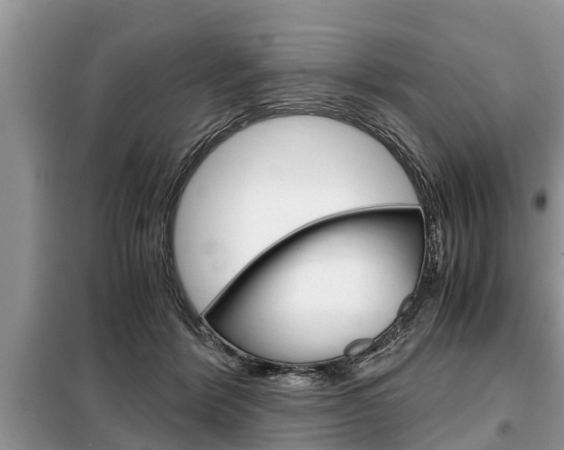 X0000099290412200805020738