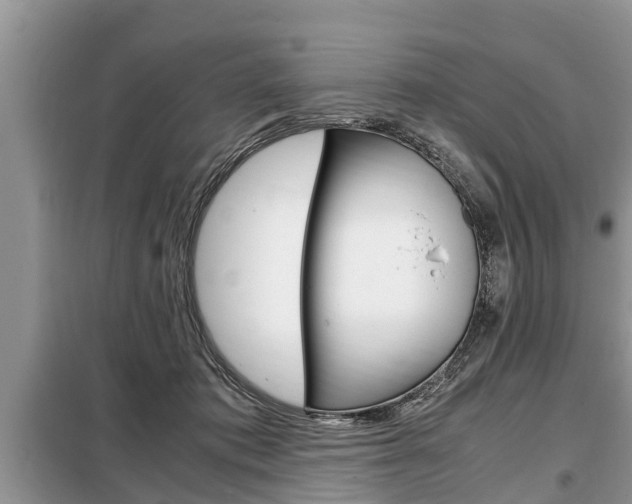 X0000099290413200805020738
