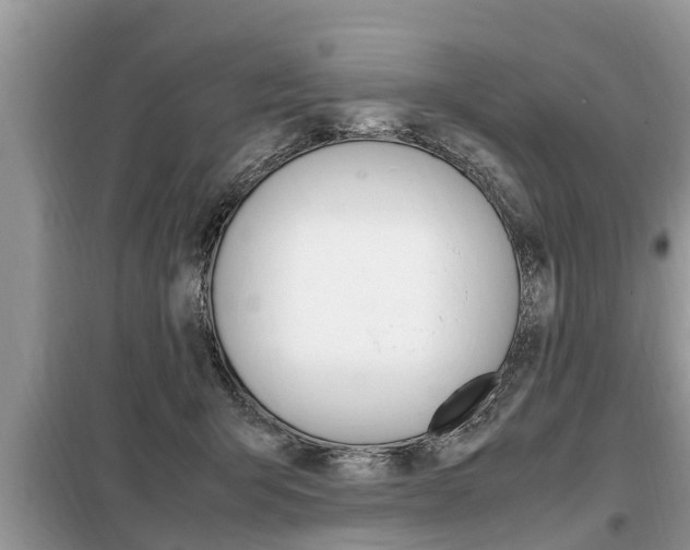 X0000099290415200805020738