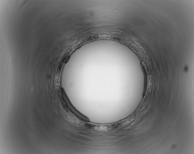 X0000099290419200805020738