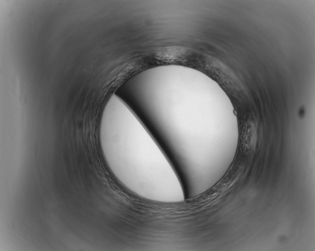 X0000099290420200805020738