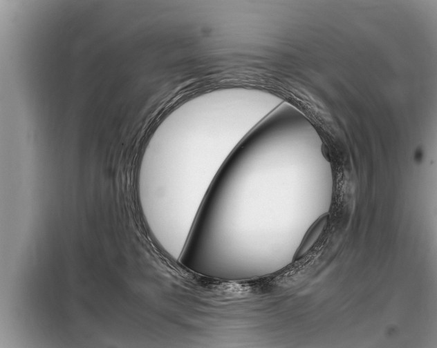 X0000099290421200805020738