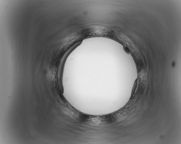 X0000099290423200805020738