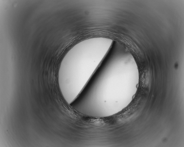 X0000099290424200805020738