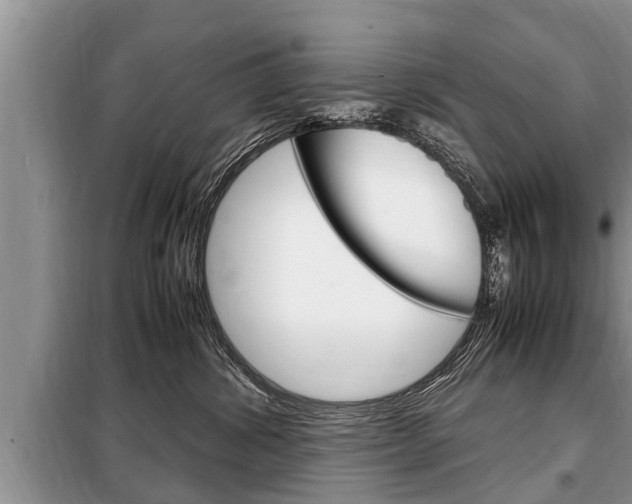X0000099290428200805020738