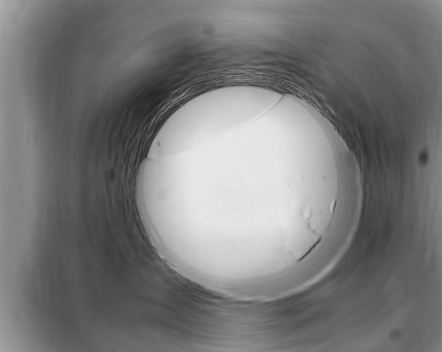 X0000099290431200805020738