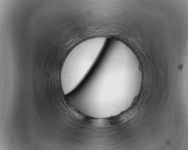 X0000099290432200805020738