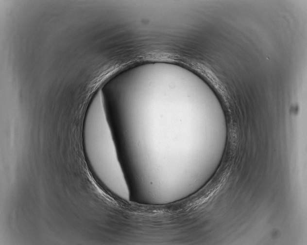 X0000099290433200805020737