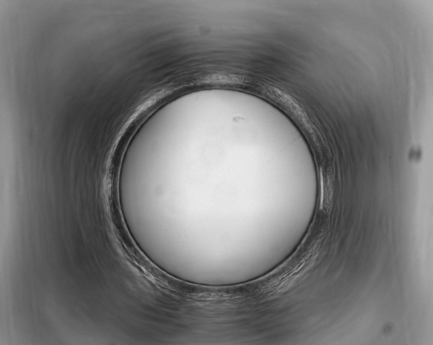 X0000099290435200805020737