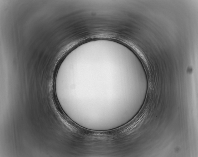 X0000099290437200805020737