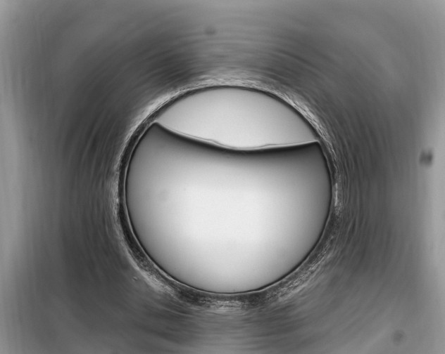 X0000099290438200805020737