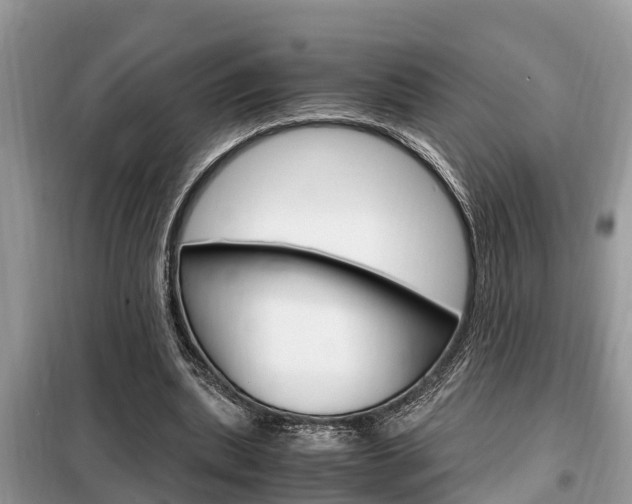 X0000099290439200805020737