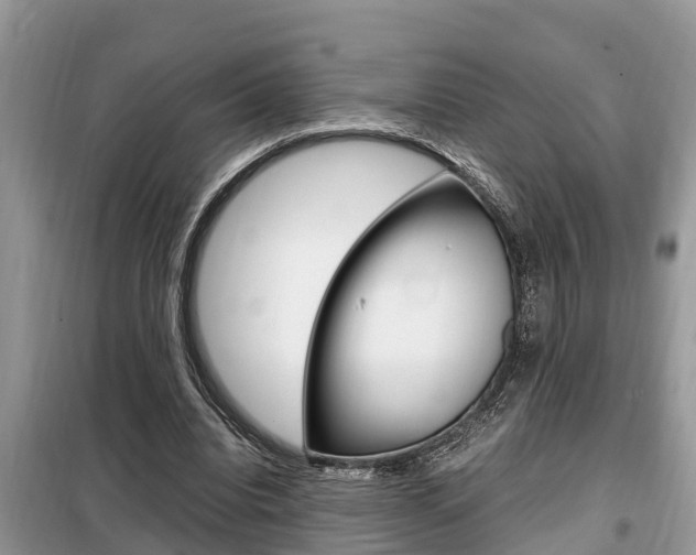 X0000099290440200805020737