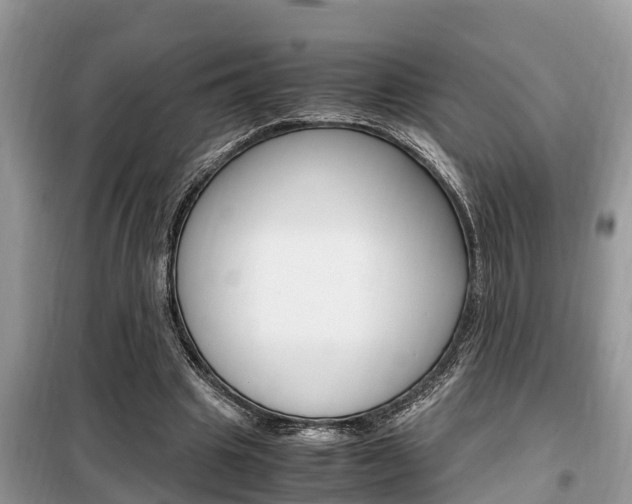 X0000099290441200805020737