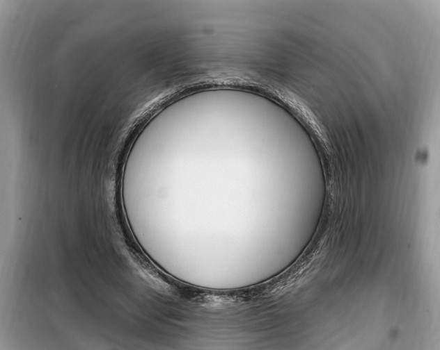 X0000099290442200805020737