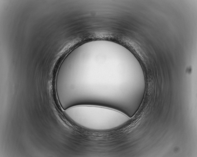 X0000099290443200805020737