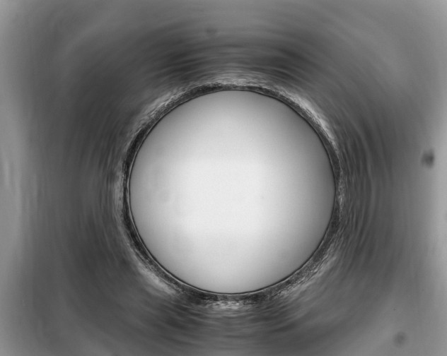 X0000099290445200805020737
