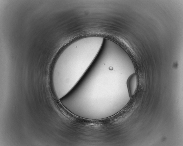 X0000099290447200805020737