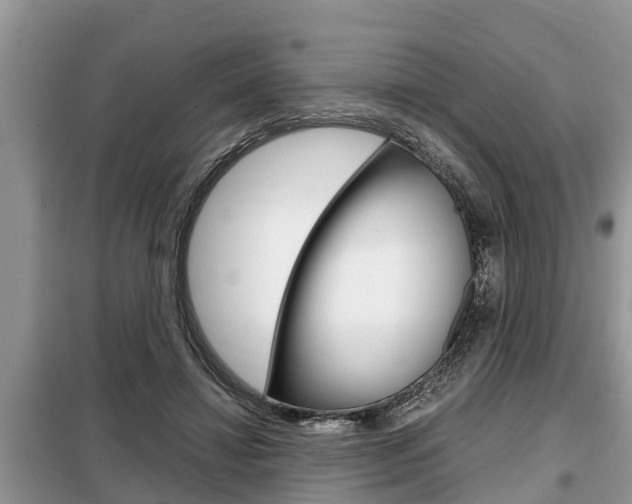 X0000099290452200805020737