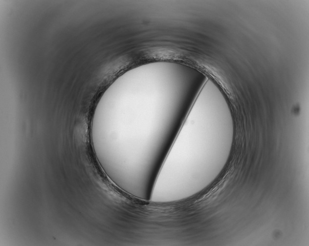 X0000099290453200805020737