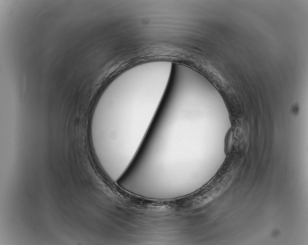 X0000099290454200805020737