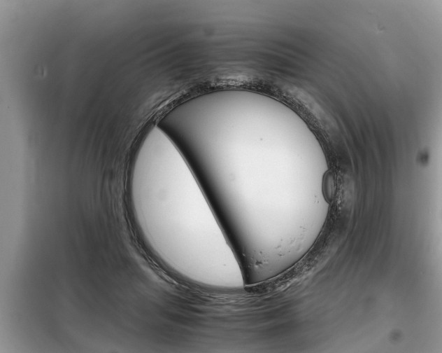 X0000099290455200805020737