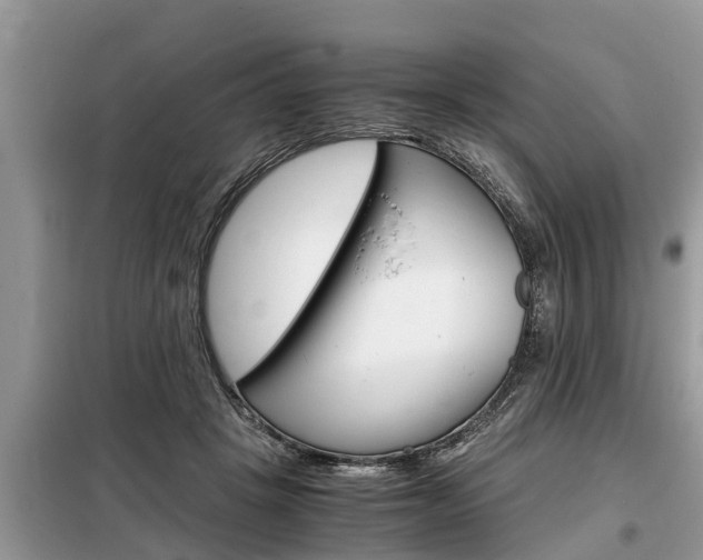 X0000099290457200805020737
