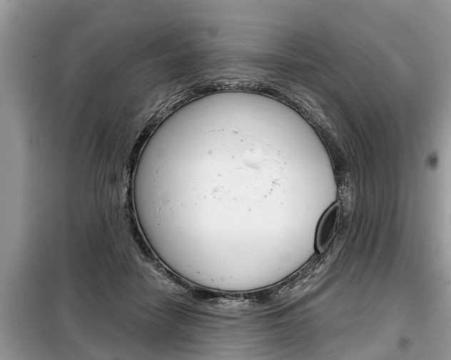 X0000099290458200805020737