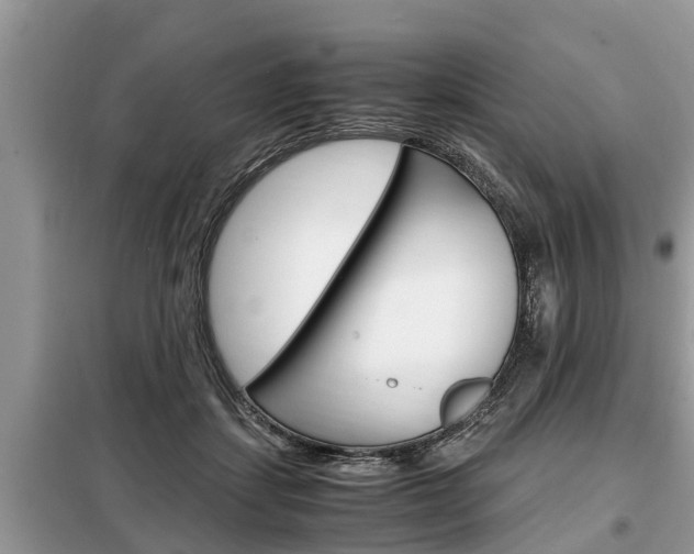X0000099290459200805020737