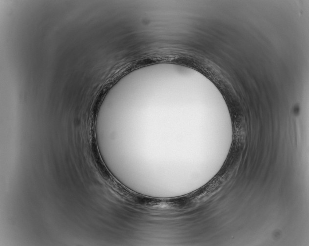 X0000099290460200805020737