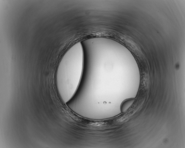 X0000099290461200805020737