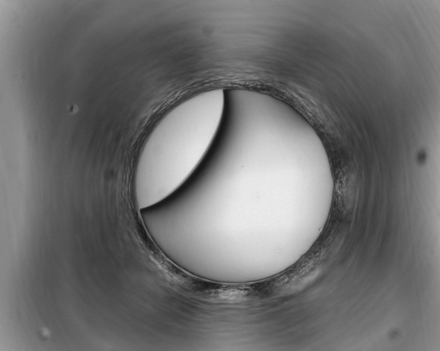 X0000099290462200805020737