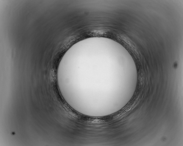 X0000099290467200805020737